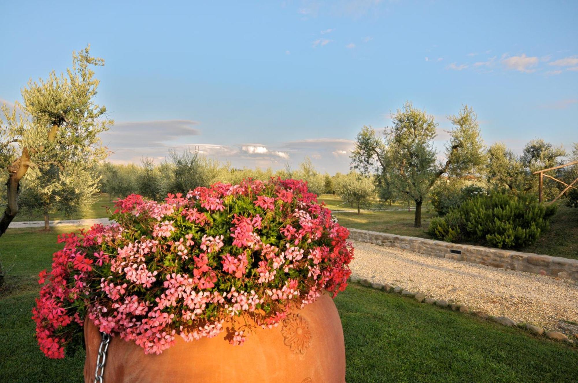 Agriturismo San Rocco Pistoia Dış mekan fotoğraf